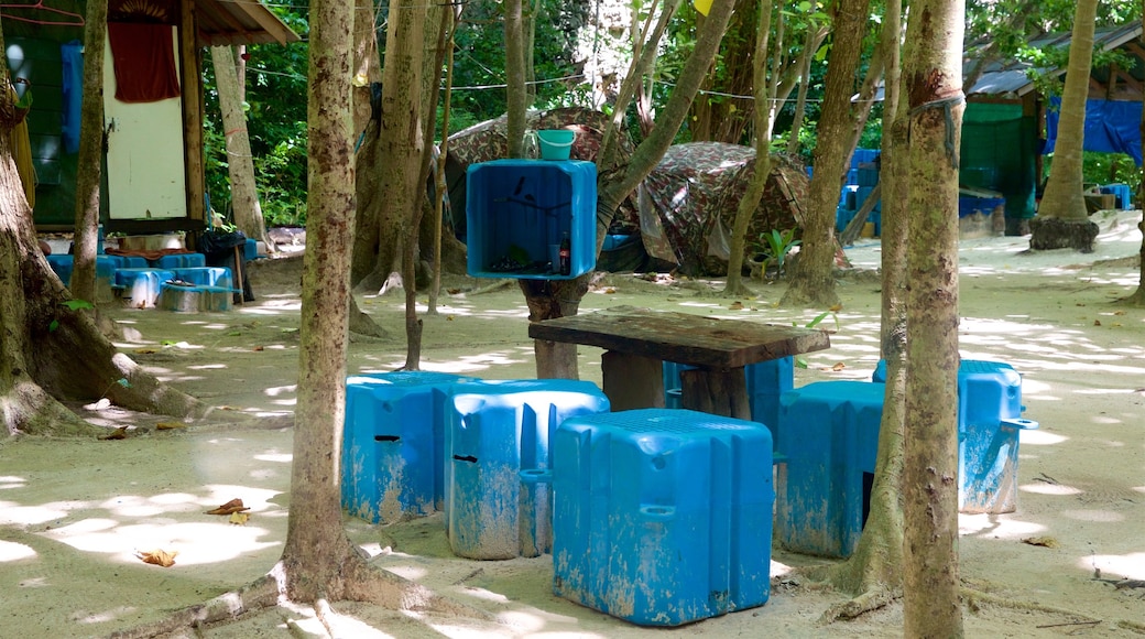 Maya Bay toont bos en een strand