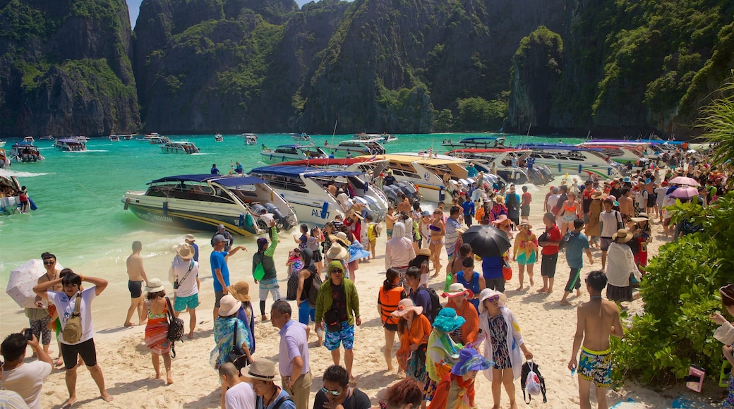 Maya Bay showing tropical scenes, a bay or harbor and a sandy beach