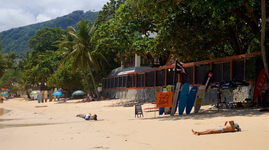 หาดกะตะ เนื้อเรื่องที่ ชายฝั่งทะเล, ชายหาด และ ทิวทัศน์เขตร้อน