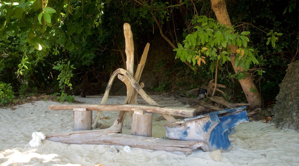 Bamboo Island showing a beach and general coastal views