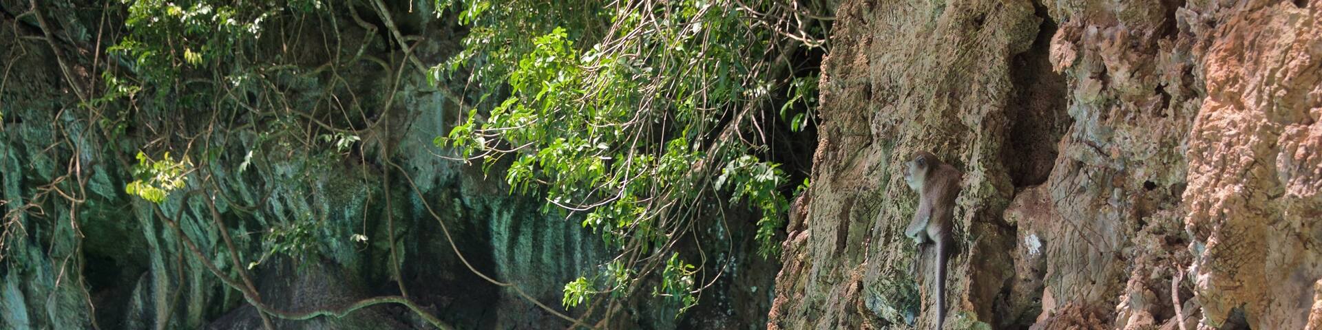 Krabi Province featuring tropical scenes and rocky coastline