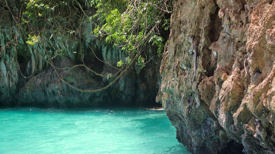 Krabi bevat ruige kustlijn en tropische uitzichten