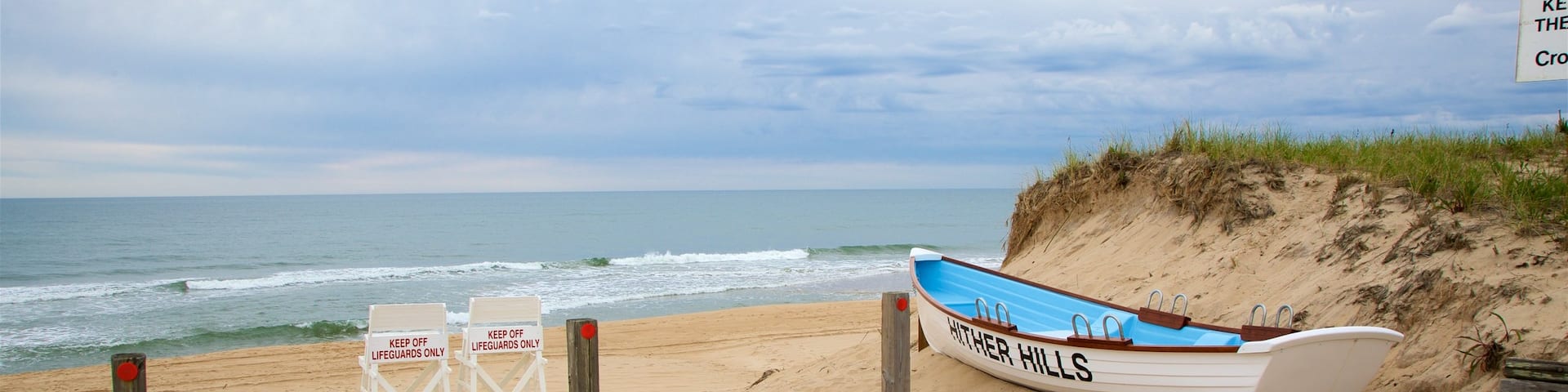 Hither Hills State Park which includes general coastal views and a sandy beach