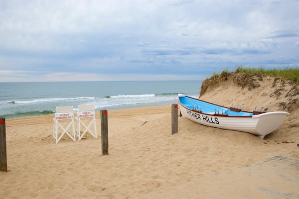 Hither Hills State Park showing a beach and general coastal views