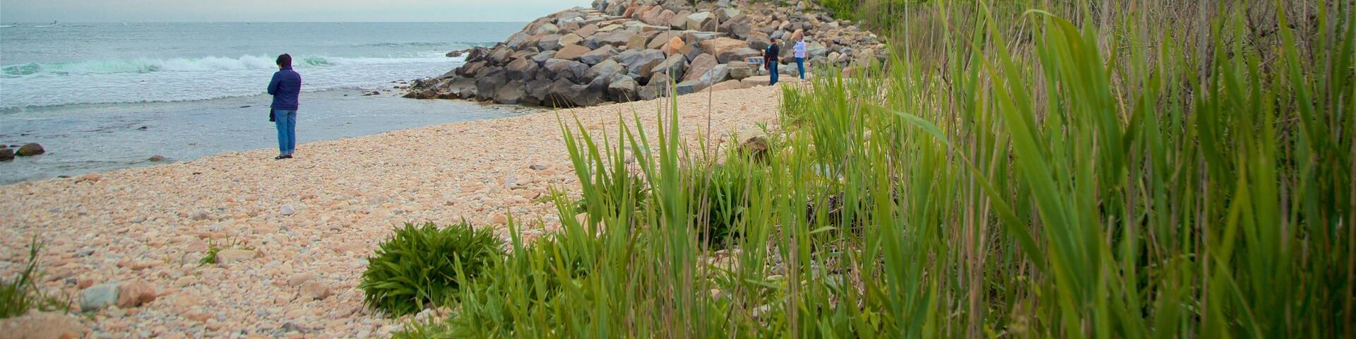 Montauk Point showing general coastal views, a pebble beach and a lighthouse