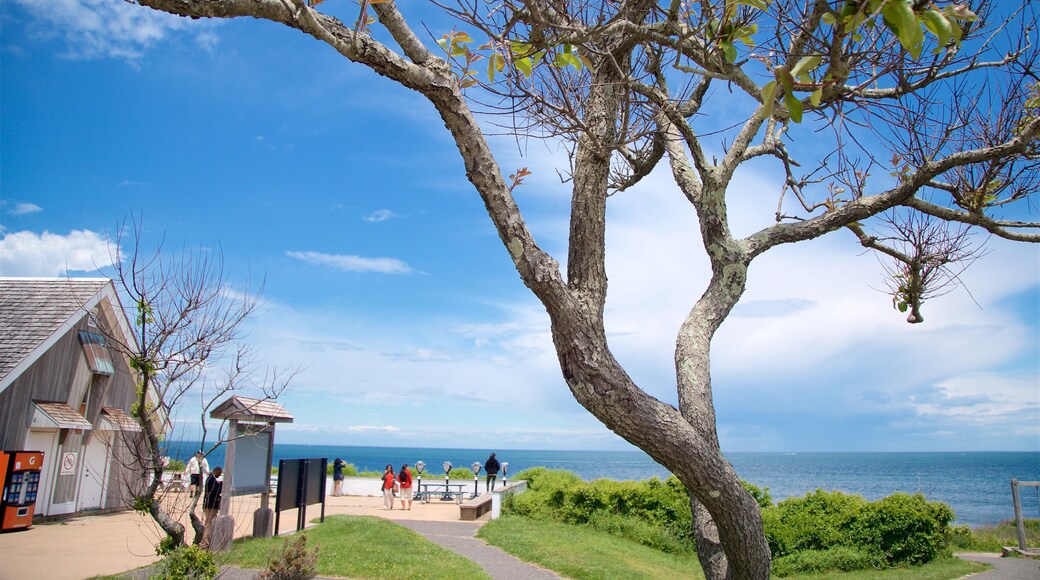 Montauk Point showing general coastal views