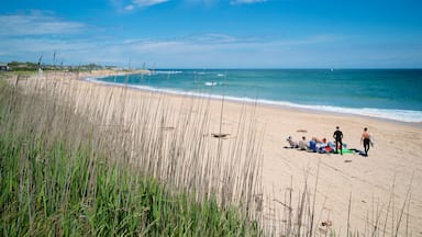 Ditch Plains Beach featuring general coastal views and a sandy beach as well as a small group of people