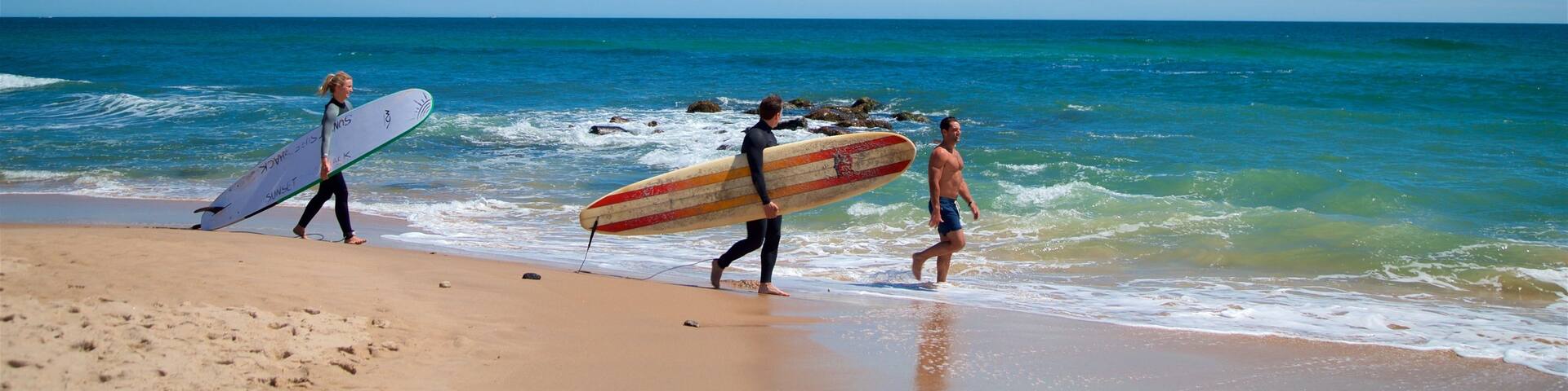 Ditch Plains Beach showing surfing, a beach and general coastal views