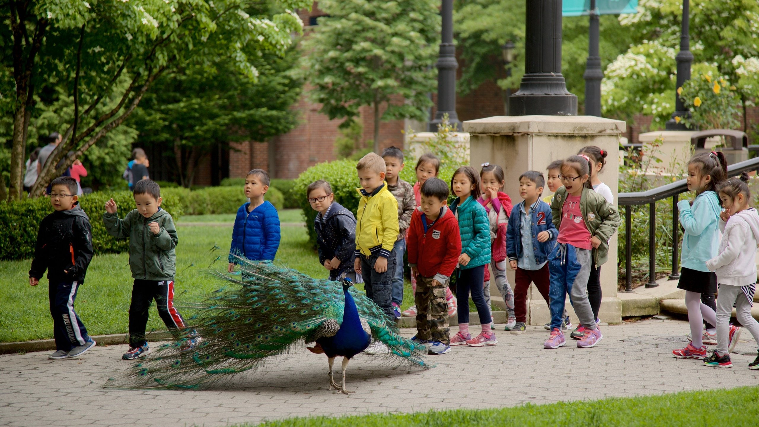 Prospect Park Zoo which includes bird life as well as children