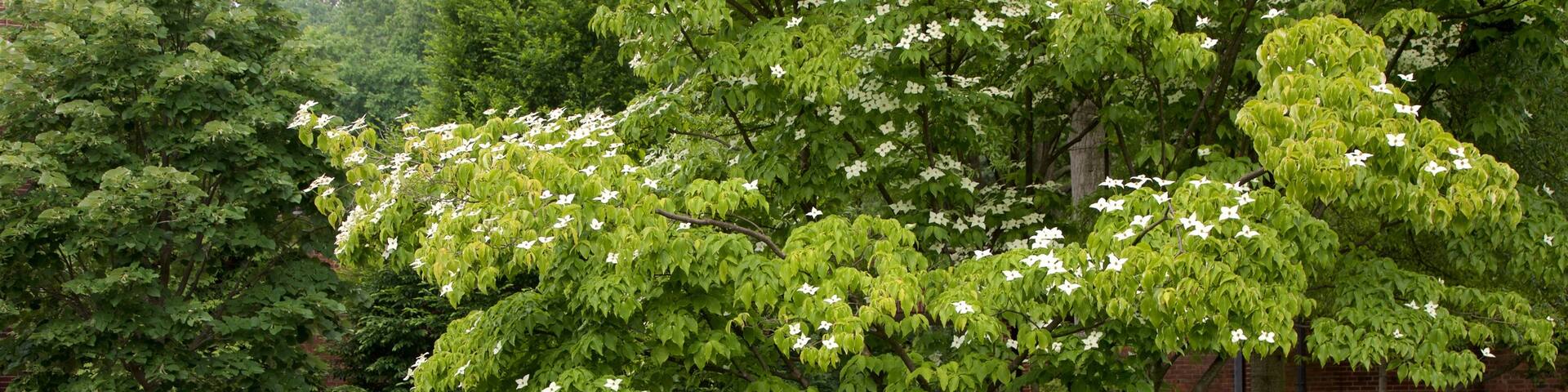 Prospect Park Zoo showing a park as well as a family
