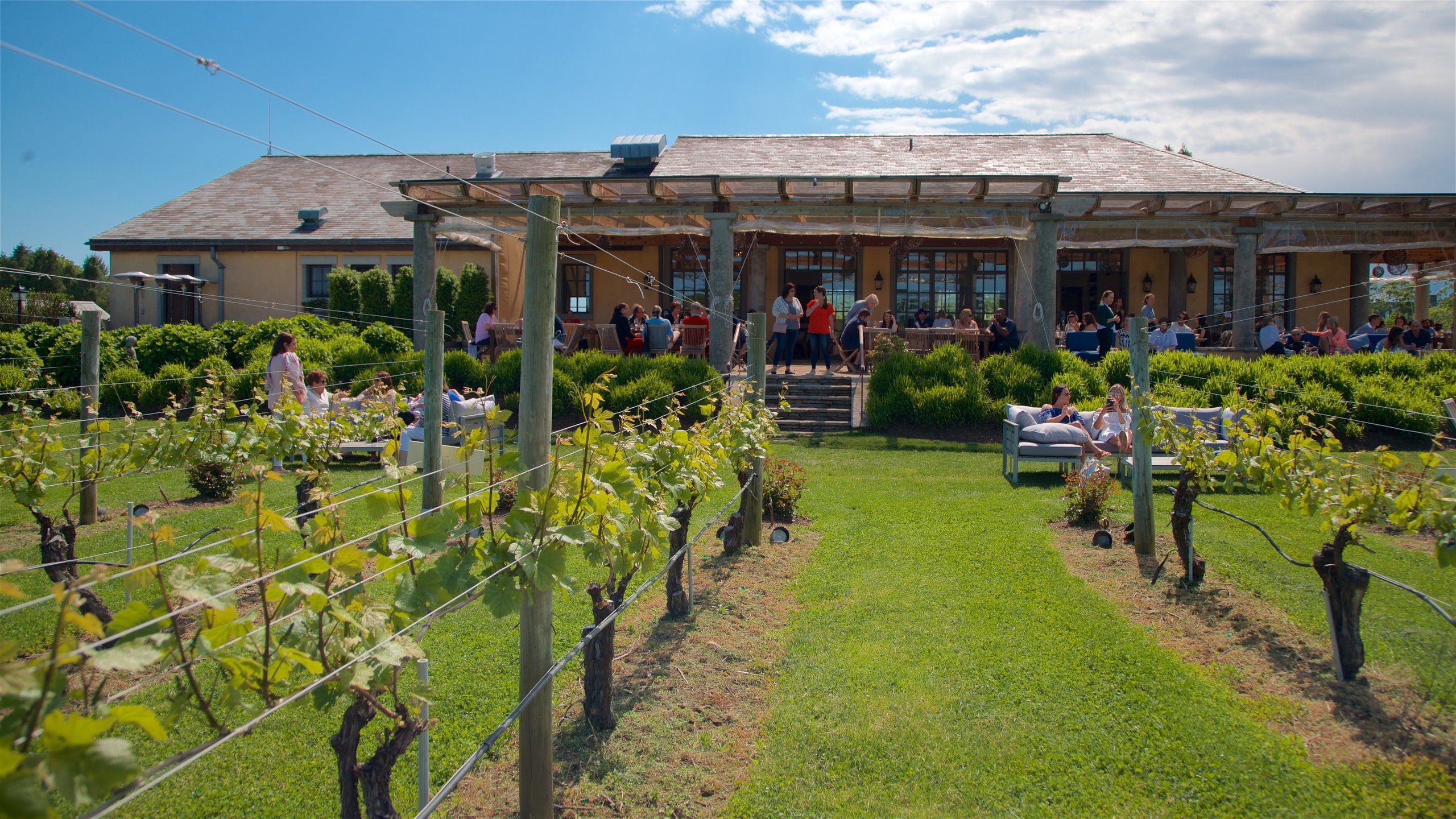 10 Best Winery Hotels In Long Island For 2020 Expedia