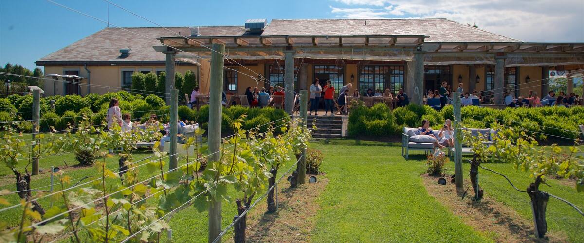 Wolffer Estates Vineyard