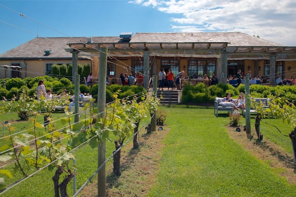 Wölffer Estate Vineyard