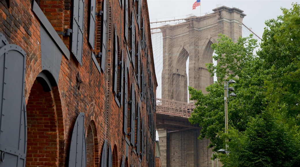 Downtown Brooklyn which includes a bridge and heritage elements