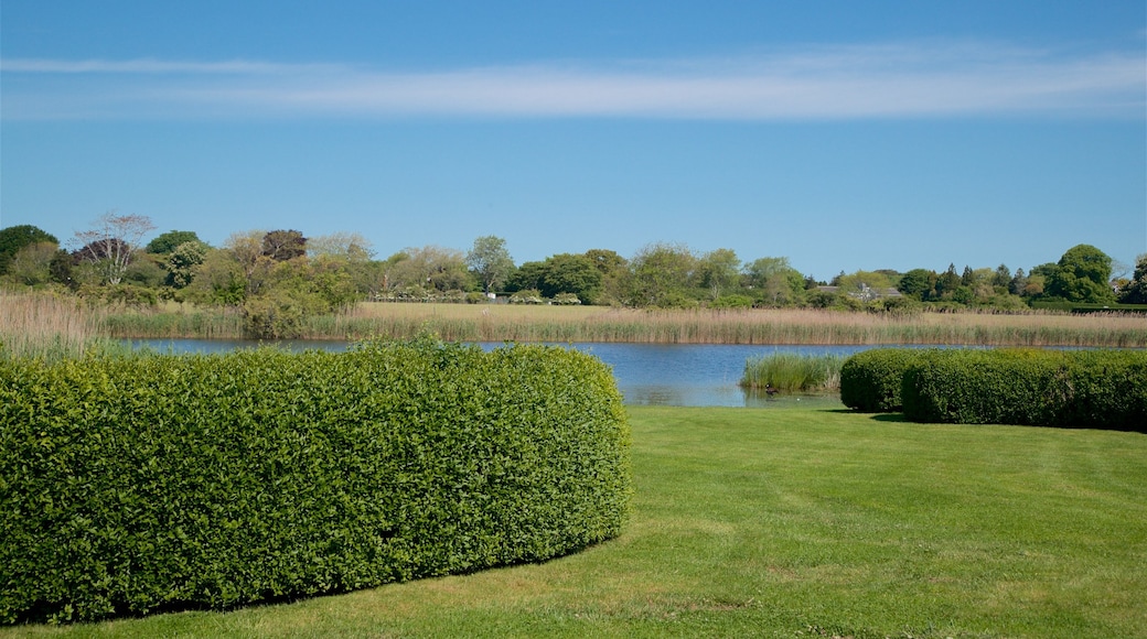 East Hampton montrant jardin et mare