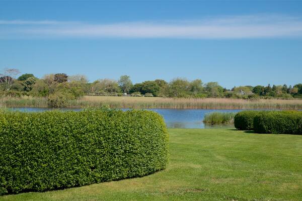 East Hampton showing a pond and a park