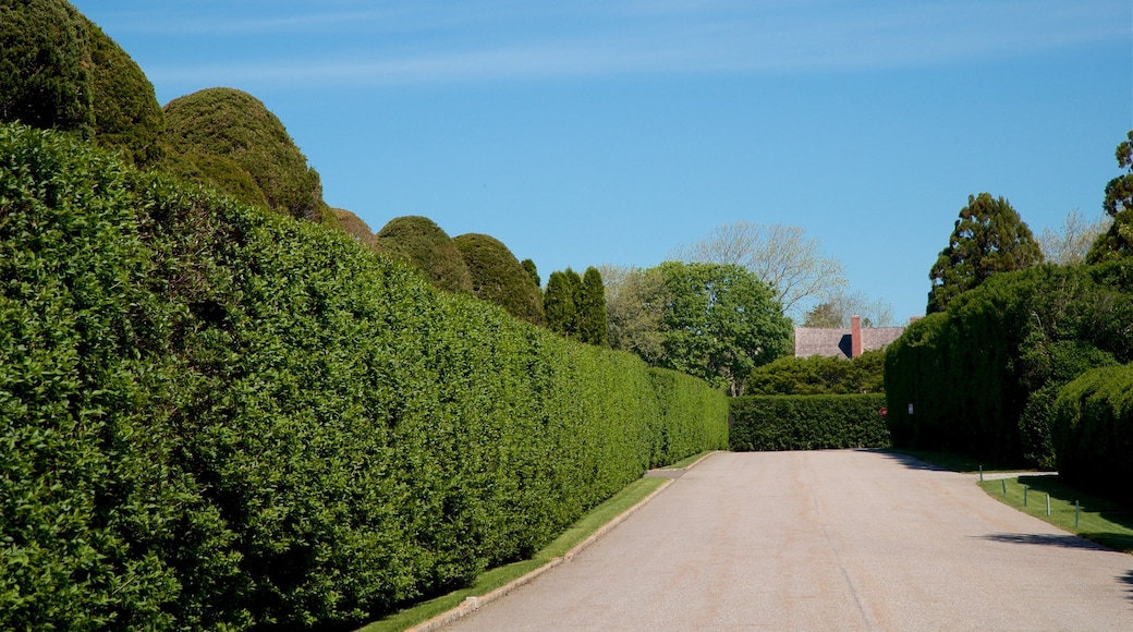 East Hampton featuring a garden