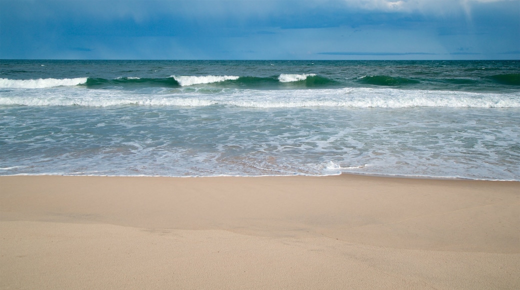 Playa de Georgica que incluye vistas de una costa y una playa de arena