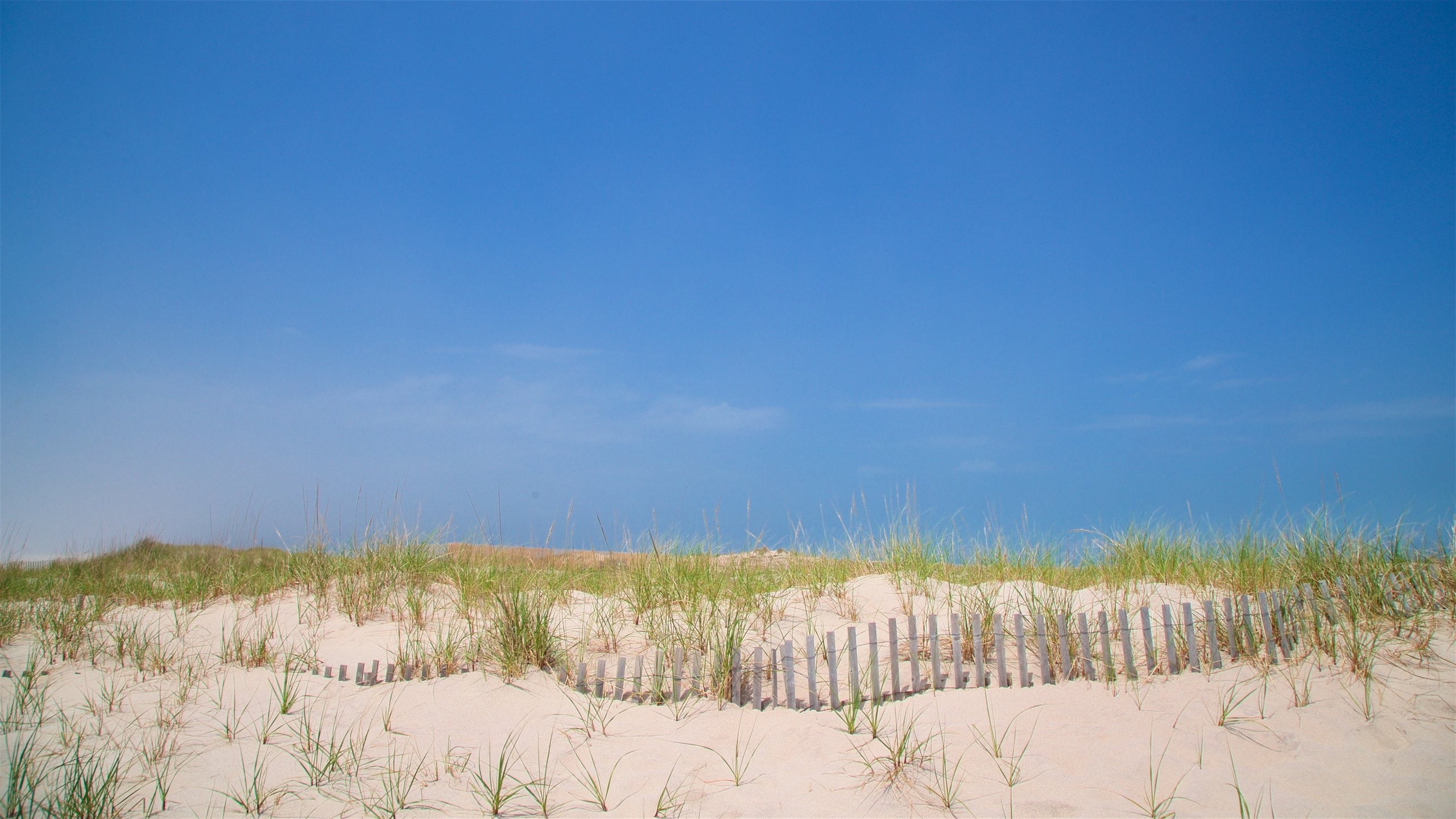 Hampton Bays Travel Guide Best of Hampton Bays, New York Travel 2024