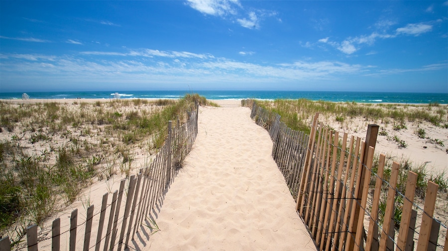 Playa Ponquogue