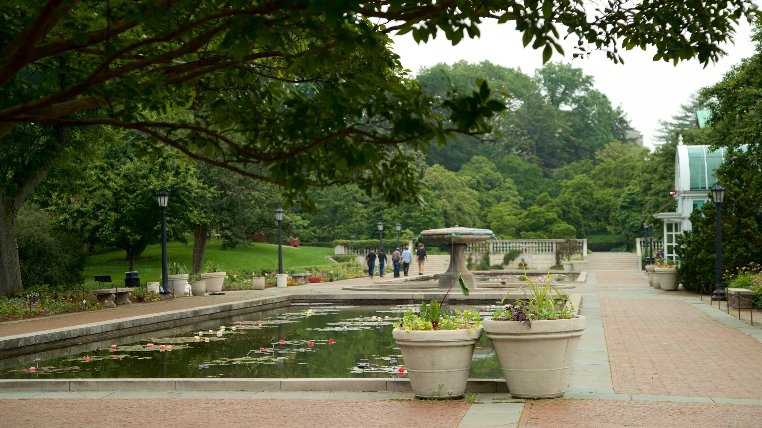 Brooklyn Botanic Gardens In New York