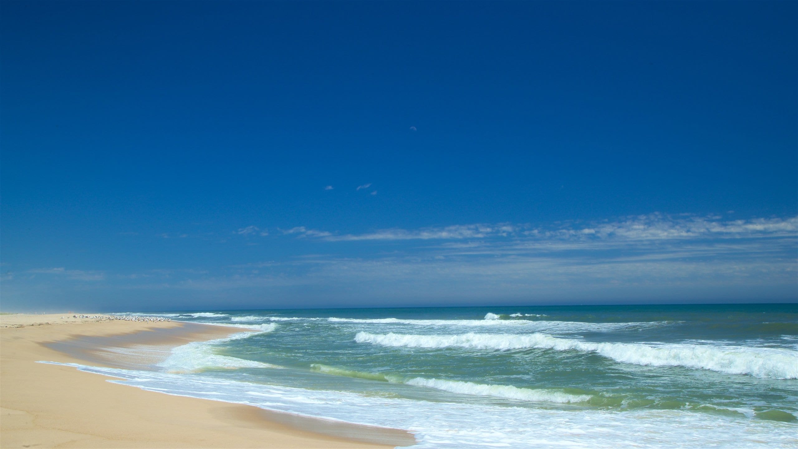 Cooper's Beach, Southampton Vacation Rentals house rentals & more Vrbo