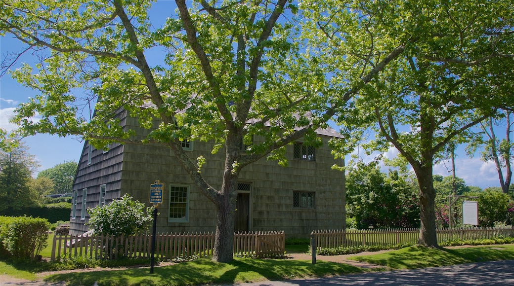 Museo Halsey House