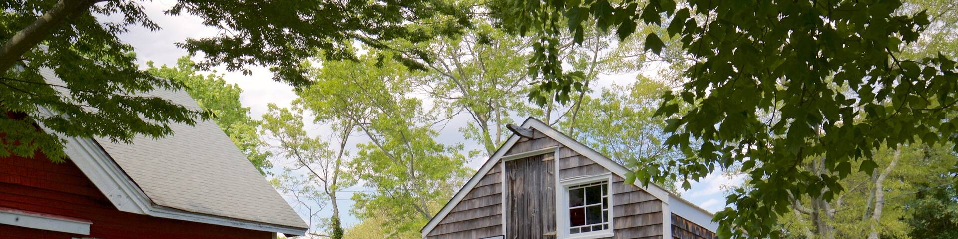 Museo de Historia de Southampton