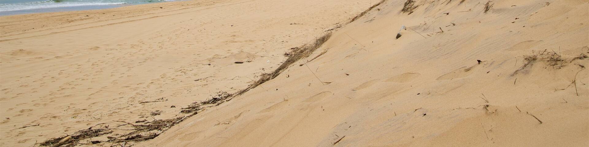 Hither Hills State Park