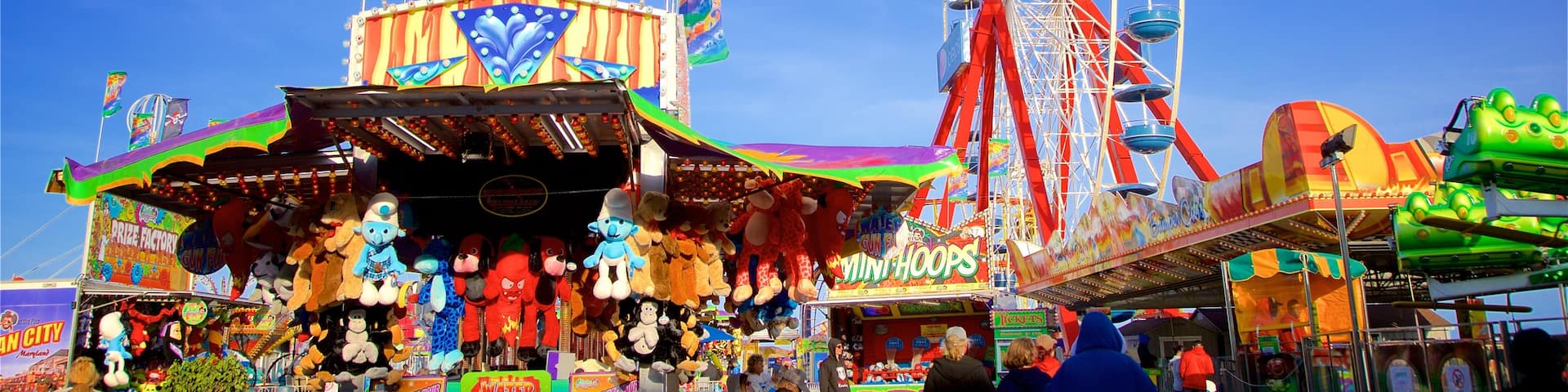 Jolly Roger at the Pier