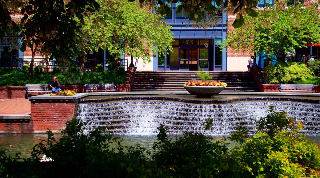 Carrol Creek Linear Park