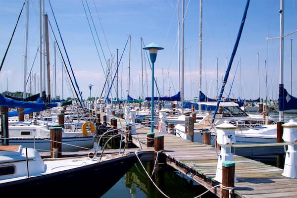Parc de Long Wharf