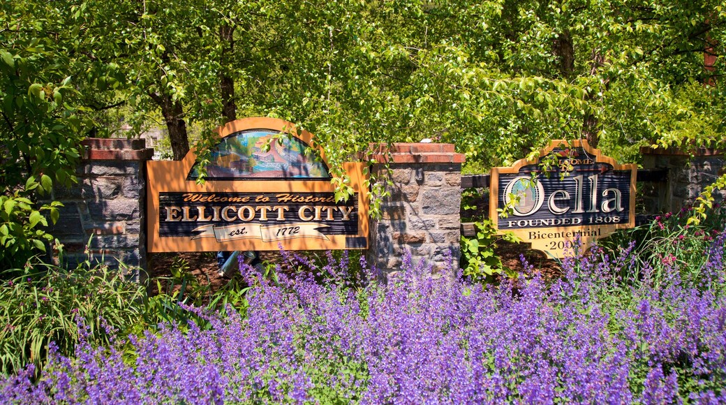 Ellicott City
