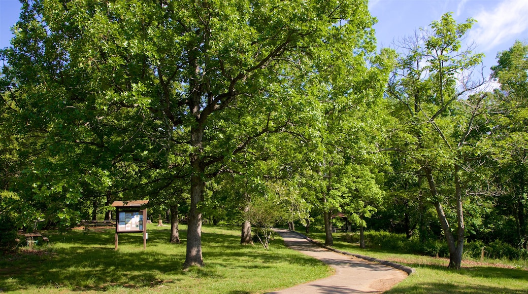 Patapsco Valley State Park