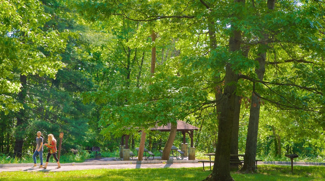 Patapsco Valley State Park