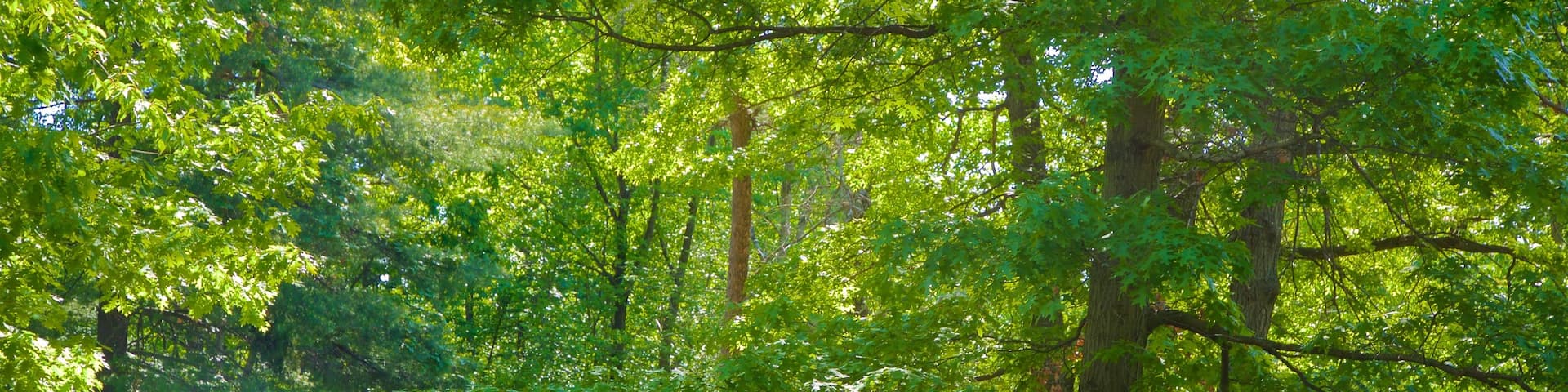 Patapsco Valley State Park