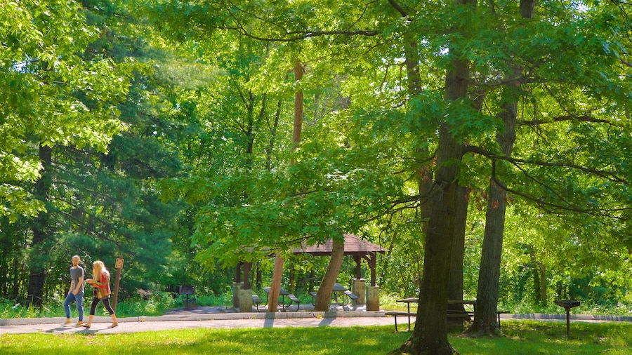 Patapsco Valley State Park