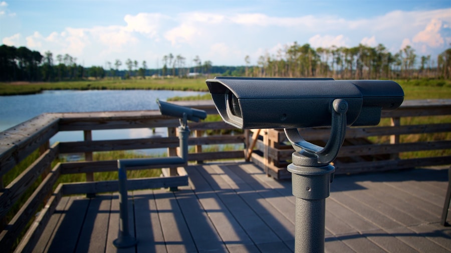 Blackwater National Wildlife Refuge