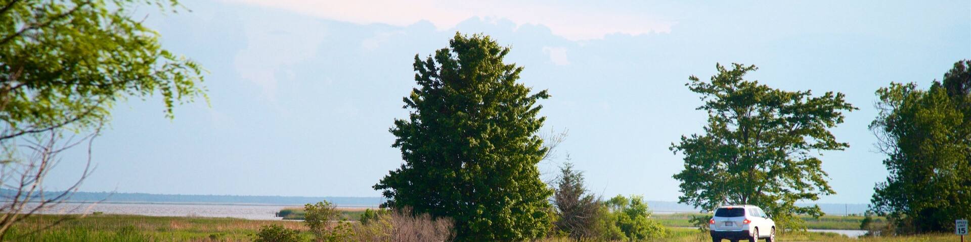 Blackwater National Wildlife Refuge