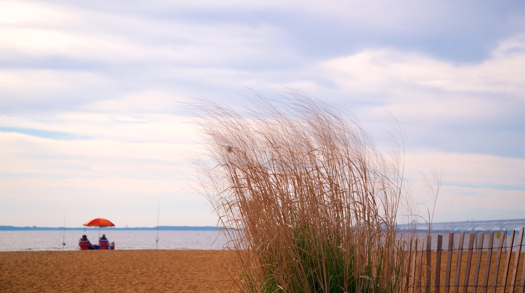 Sandy Point State Park