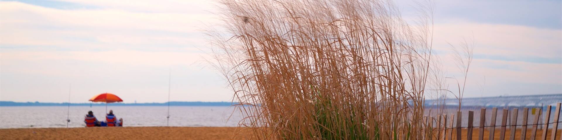 Sandy Point State Park