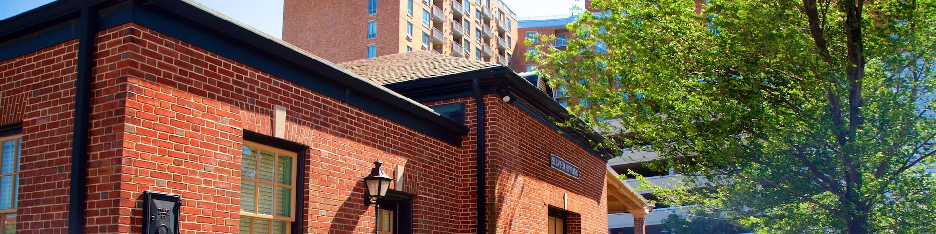 Baltimore & Ohio Railroad Station