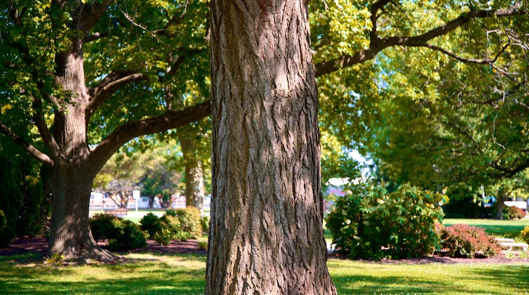 Long Wharf Park