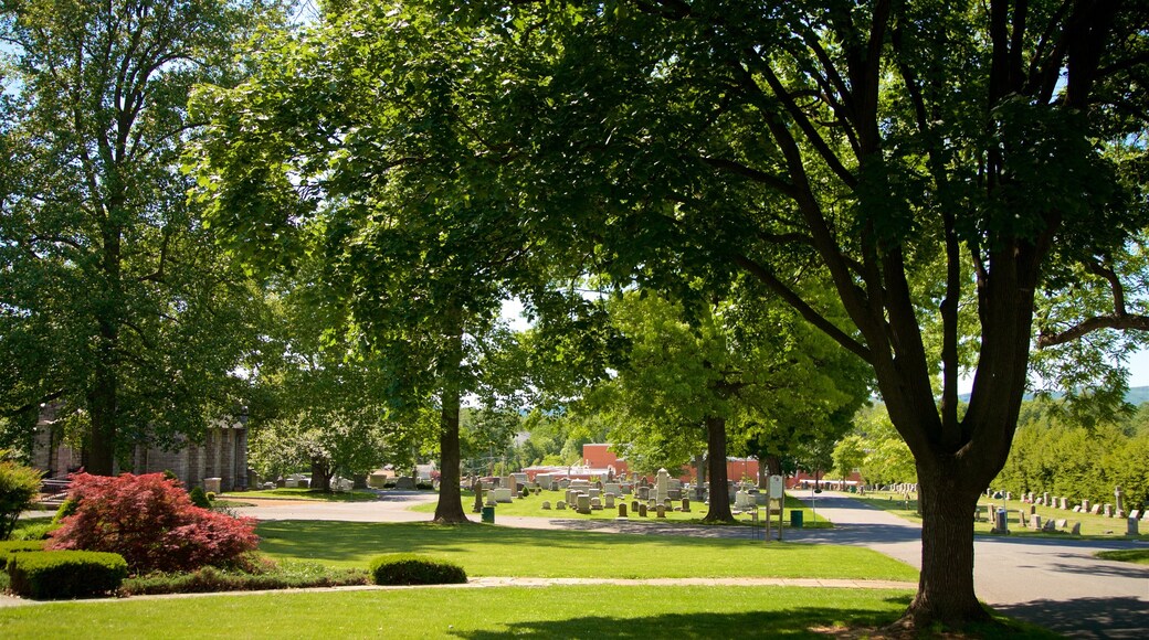 Mount Olivet Cemetery