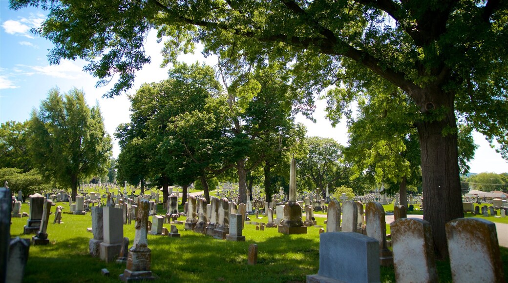 Mount Olivet Cemetery