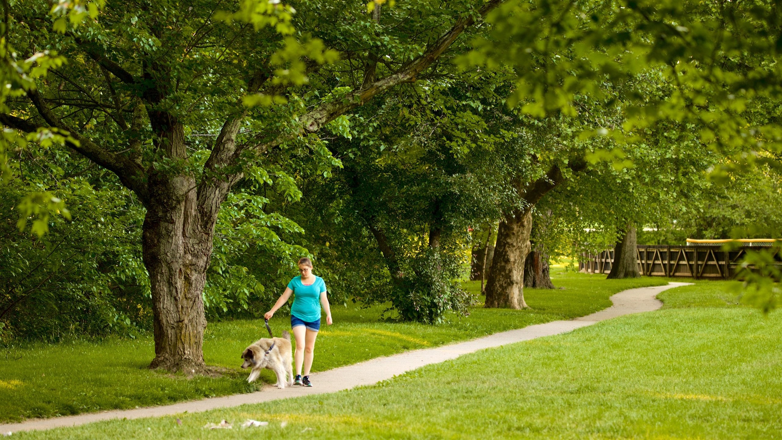 Baker Park Tours Book Now Expedia