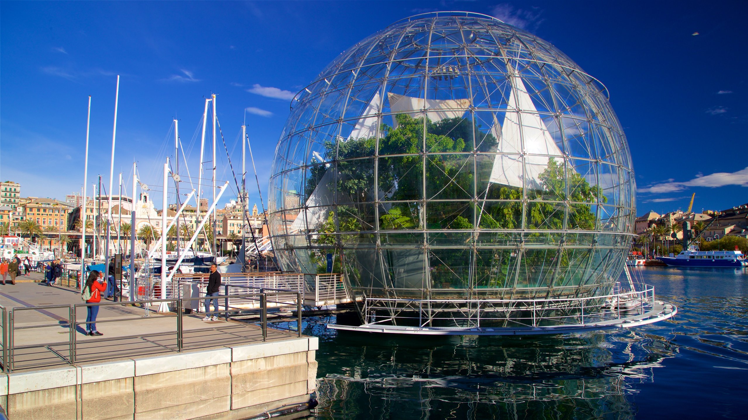 Italian Open Water Tour in Genoa