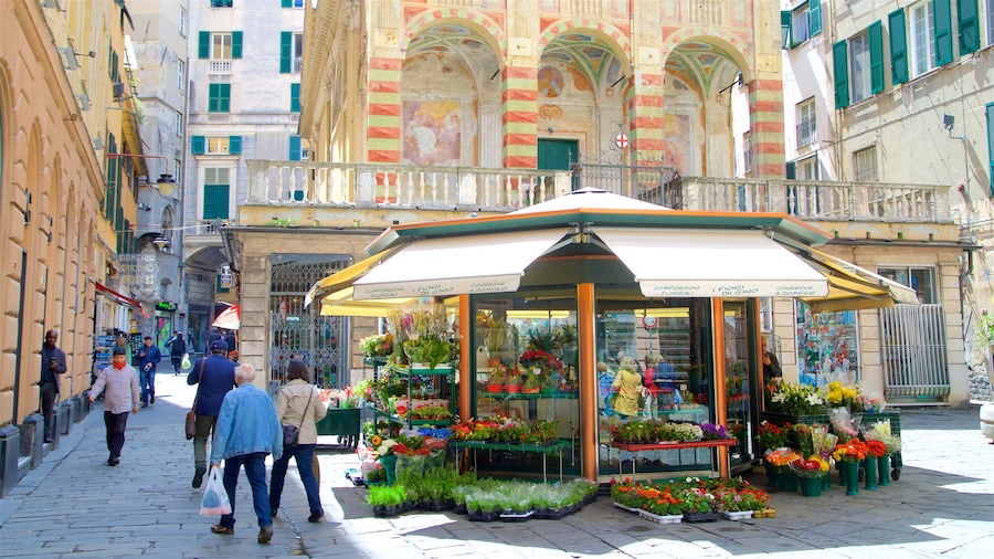Genova