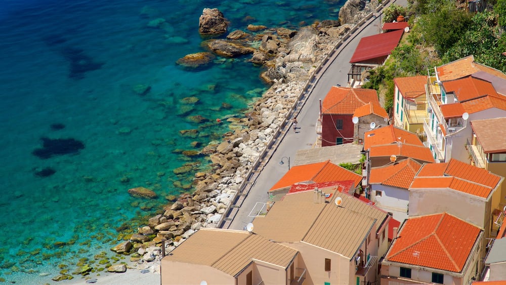 Scilla