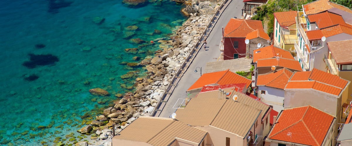 Scilla